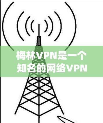 梅林VPN是一个知名的网络VPN服务，提供多种加密方式和多端访问功能，帮助用户 securely访问世界范围内的互联网。以下是一步步的使用指南