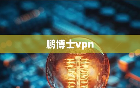 鹏博士vpn
