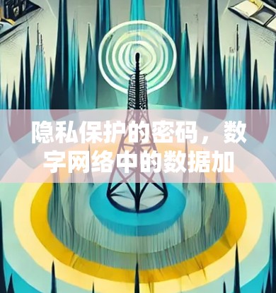 隐私保护的密码，数字网络中的数据加密之道