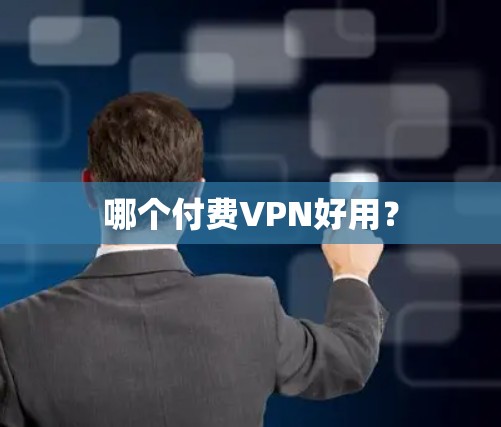 哪个付费VPN好用？
