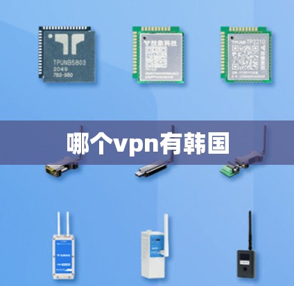 哪个vpn有韩国