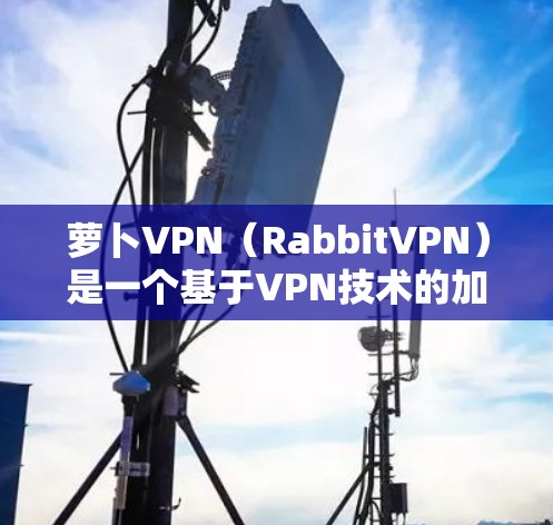 萝卜VPN（RabbitVPN）是一个基于VPN技术的加速器，旨在帮助用户更快地访问网络资源。以下是关于萝卜VPN的详细介绍