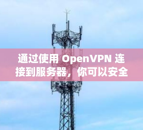 通过使用 OpenVPN 连接到服务器，你可以安全地访问敏感信息。以下是详细的步骤指南