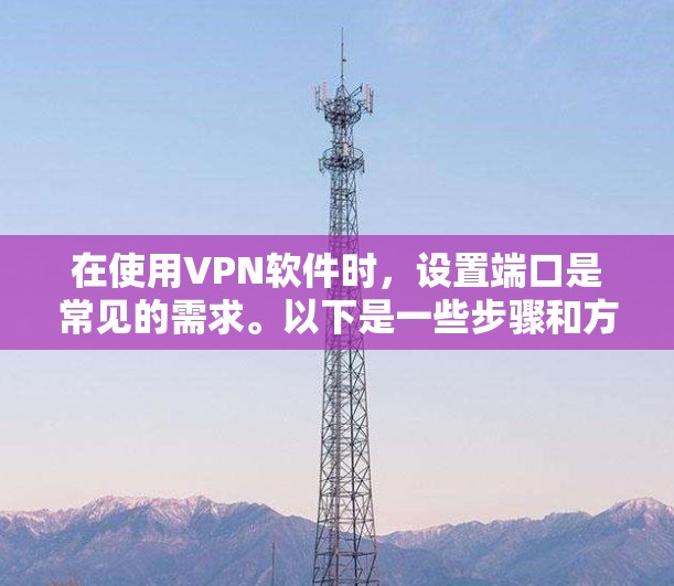 在使用VPN软件时，设置端口是常见的需求。以下是一些步骤和方法来解决使用端口的问题
