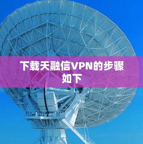 下载天融信VPN的步骤如下