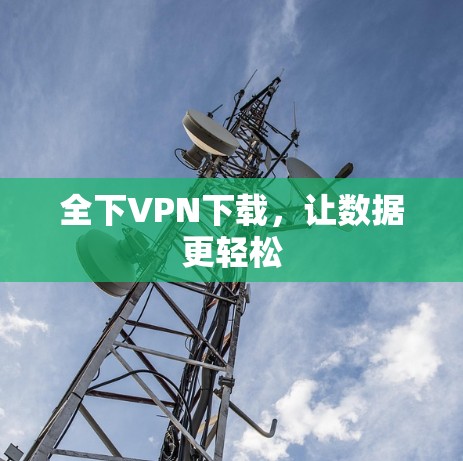 全下VPN下载，让数据更轻松
