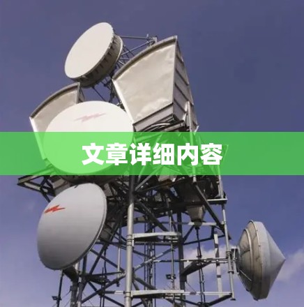 文章详细内容