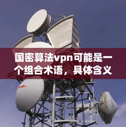 国密算法vpn可能是一个组合术语，具体含义取决于上下文。以下是一些可能的解释