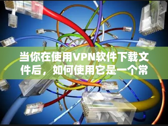 当你在使用VPN软件下载文件后，如何使用它是一个常见的问题。以下是一些步骤和建议，帮助你轻松使用VPN