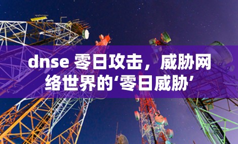 dnse 零日攻击，威胁网络世界的‘零日威胁’