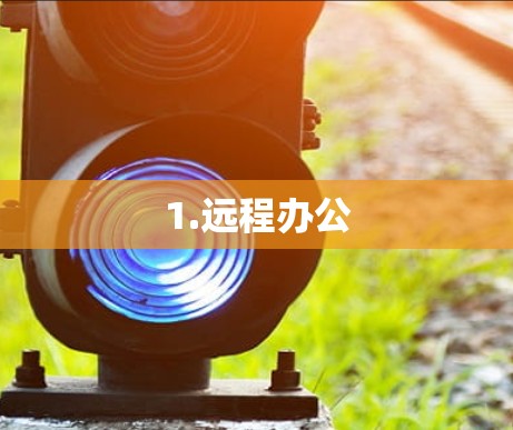 1.远程办公
