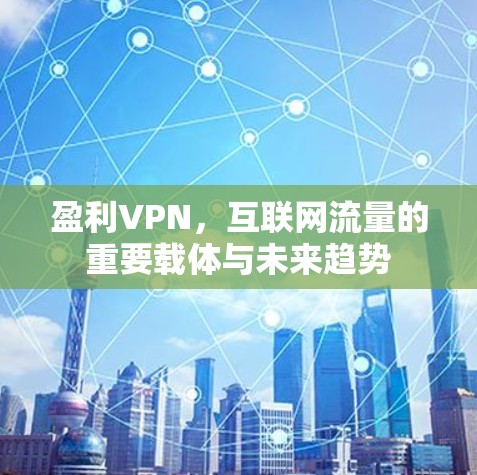 盈利VPN，互联网流量的重要载体与未来趋势