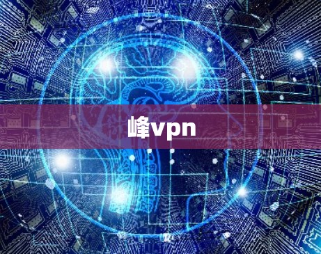 峰vpn