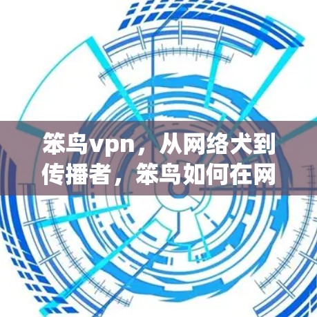 笨鸟vpn，从网络犬到传播者，笨鸟如何在网络中传播？