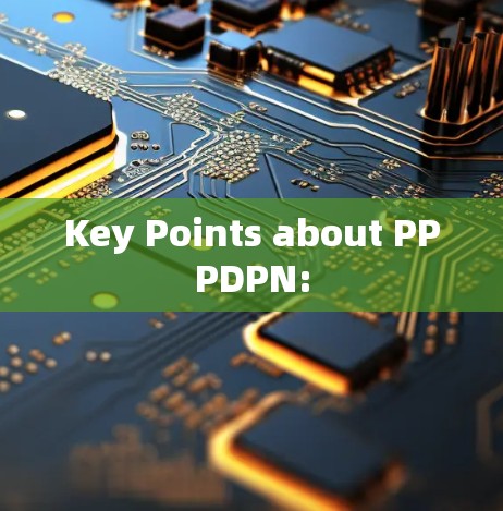 Key Points about PPPDPN: