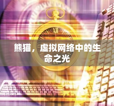 熊猫，虚拟网络中的生命之光