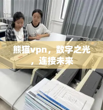 熊猫vpn，数字之光，连接未来
