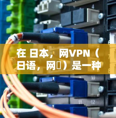 在 日本，网VPN（日语，网視）是一种提供网络视频流服务的软件或网站，用于在没有网络连接的情况下观看视频内容。日本的网VPN服务因地区发展和技术成熟而闻名，提供了多种选择，适合不同需求的用户