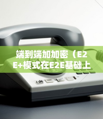 端到端加加密（E2E+模式在E2E基础上增加了加密，确保数据传输安全。这通过SSL或TLS协议增强数据保护，适合需要高安全性的用户。然而，这种方法可能需要更多的设备和资源，成本较高