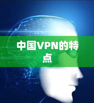 中国VPN的特点
