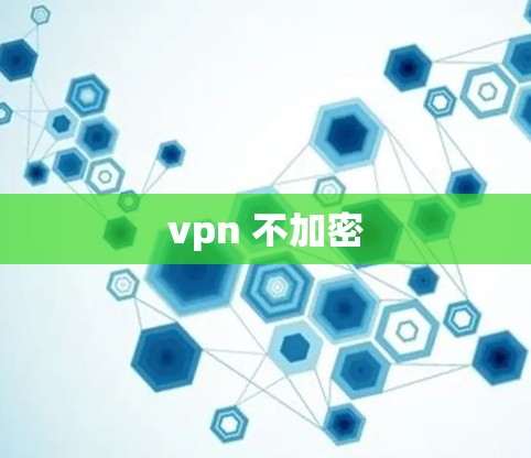 vpn 不加密