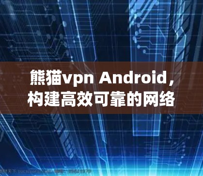 熊猫vpn Android，构建高效可靠的网络连接
