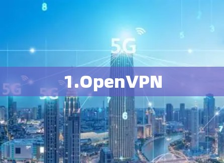 1.OpenVPN