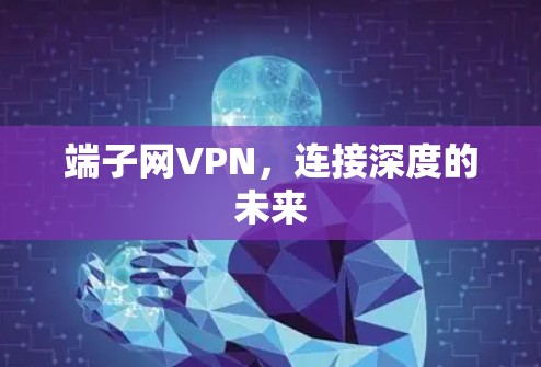 端子网VPN，连接深度的未来