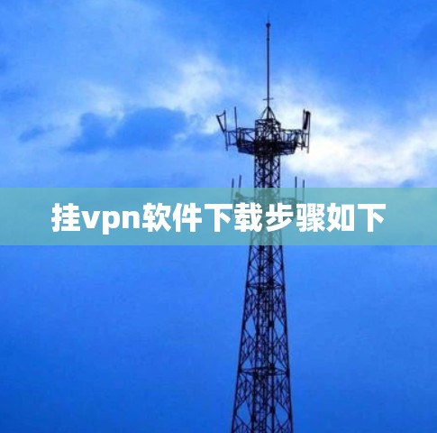 挂vpn软件下载步骤如下