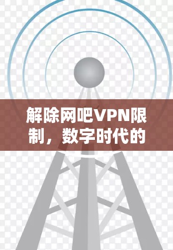 解除网吧VPN限制，数字时代的高效访问之道