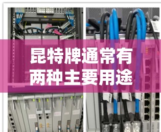 昆特牌通常有两种主要用途，保护个人数据和作为VPN工具。以下是详细的分点总结