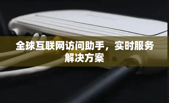全球互联网访问助手，实时服务解决方案