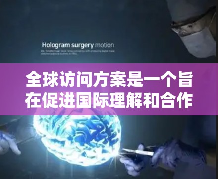 全球访问方案是一个旨在促进国际理解和合作的重要工具，涵盖了广泛的目标、范围和方法。以下是对全球访问方案的详细分析和结构说明