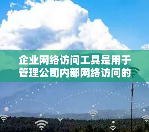 企业网络访问工具是用于管理公司内部网络访问的软件，旨在有效控制用户权限，防止恶意访问，提升网络安全性和效率。以下是对这些工具的详细总结