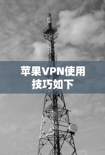 苹果VPN使用技巧如下