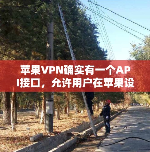 苹果VPN确实有一个API接口，允许用户在苹果设备上访问自己的苹果VPN服务。具体步骤如下