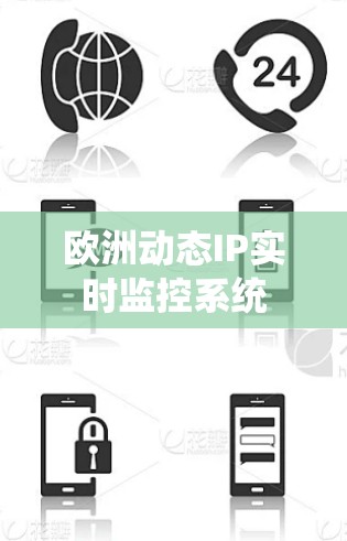 欧洲动态IP实时监控系统