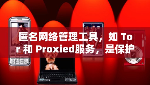 匿名网络管理工具，如 Tor 和 Proxied服务，是保护用户数据不被滥用的网络工具。以下是它们的详细介绍