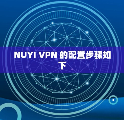 NUYI VPN 的配置步骤如下
