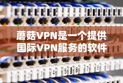 蘑菇VPN是一个提供国际VPN服务的软件应用，主要为用户提供访问国外网络的便利。以下是一个详细的步骤指南，帮助你顺利下载和使用蘑菇VPN客户端