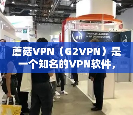 蘑菇VPN（G2VPN）是一个知名的VPN软件，提供多种版本，包括6.版本和更高版本。以下是蘑菇VPN最新版本及其更新信息
