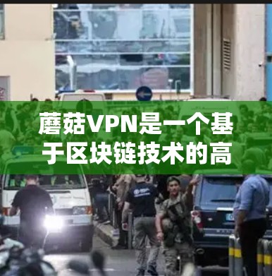 蘑菇VPN是一个基于区块链技术的高安全性的VPN服务，适合需要严格访问控制和高安全性需求的用户。以下是基于蘑菇VPN分析的综合评价