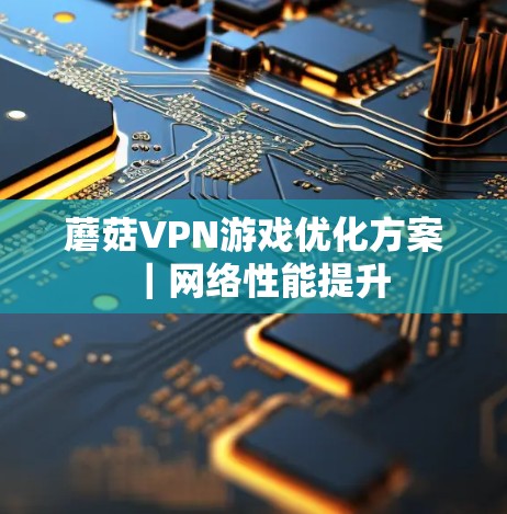 蘑菇VPN游戏优化方案｜网络性能提升