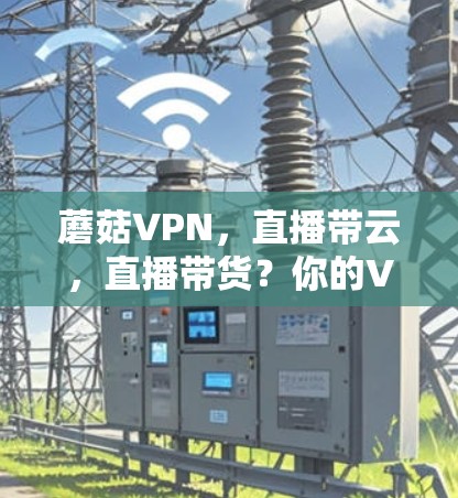 蘑菇VPN，直播带云，直播带货？你的VPN选择是哪一种？