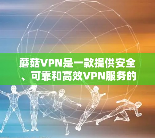 蘑菇VPN是一款提供安全、可靠和高效VPN服务的软件。它通过加密技术和复杂的安全机制，确保用户的数据安全，同时提供快速的网络连接和低延迟传输。蘑菇VPN的定价相对较低，适合追求安全和效率的用户