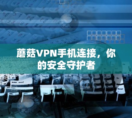 蘑菇VPN手机连接，你的安全守护者