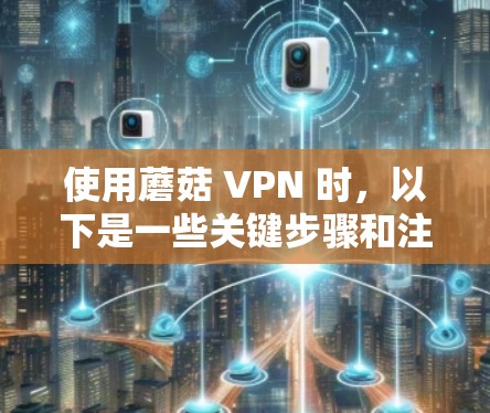 使用蘑菇 VPN 时，以下是一些关键步骤和注意事项