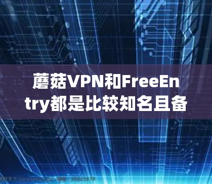 蘑菇VPN和FreeEntry都是比较知名且备受推崇的VPN服务，各有其独特的优势和适用场景。以下是对这两个服务的全面评测，帮助用户更好地了解它们的特点和适用情况
