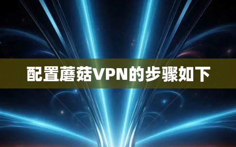 配置蘑菇VPN的步骤如下