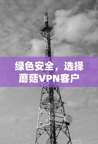 绿色安全，选择蘑菇VPN客户端的明智选择